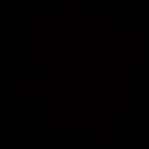 Meet your Posher, Anahy